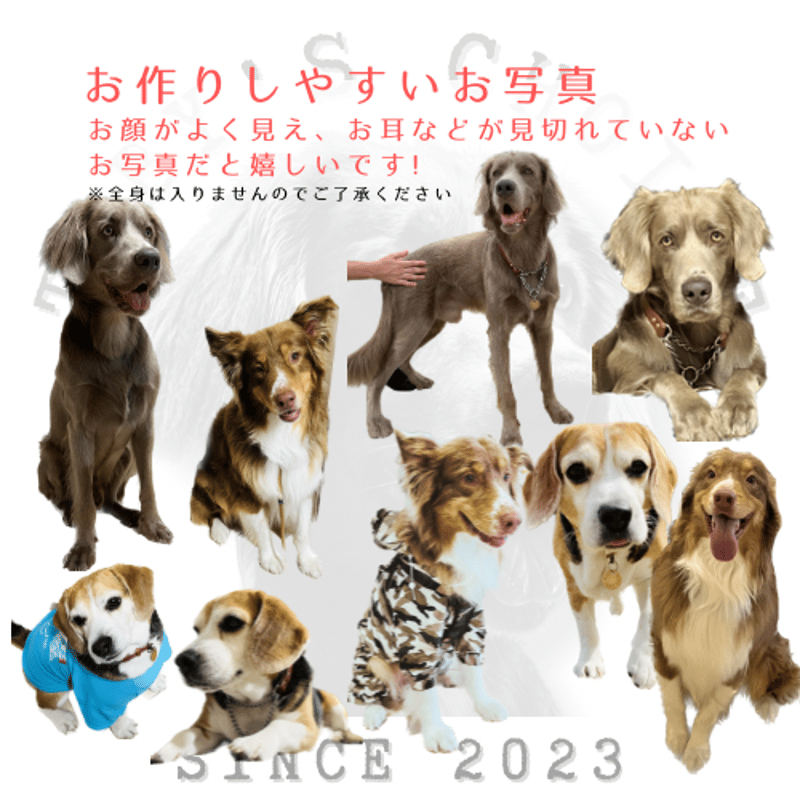 愛犬/愛猫ステッカー? | TOBY