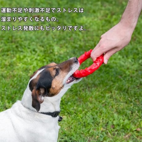 スマイル/ferplast おもちゃ デンタルトイ