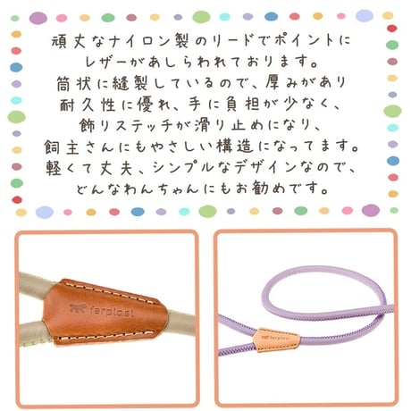 〜60kgまで/頑丈なナイロン製リード G12/110 ダービー DERBY  のコピー