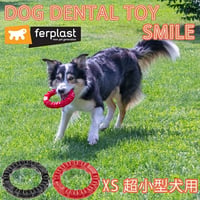 スマイル/ferplast おもちゃ デンタルトイ