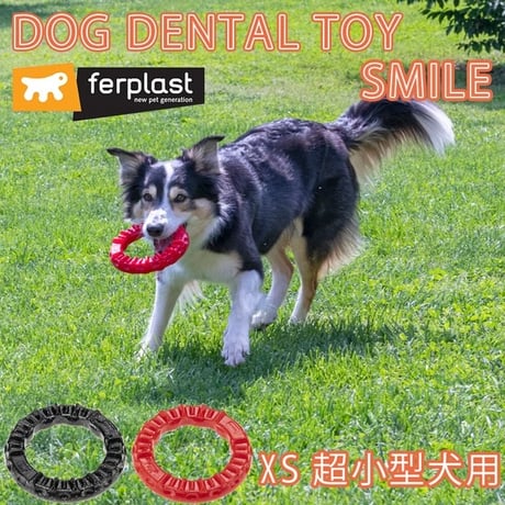 スマイル/ferplast おもちゃ デンタルトイ