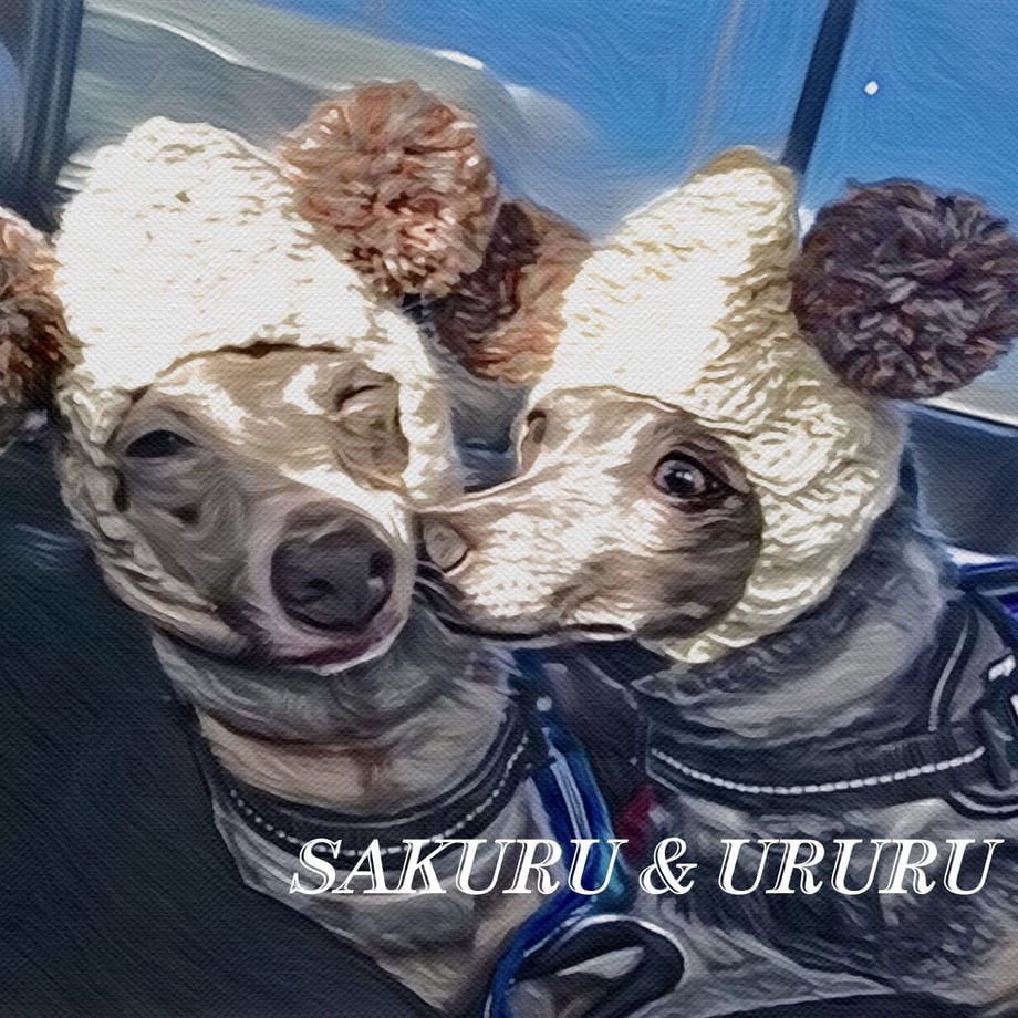 652158b3b4efa213c3d1f66a