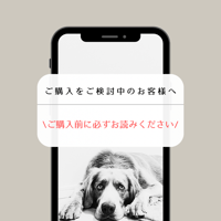 【ご購入前に必ずお読みください】