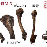 国産鹿骨MIX お買い得/多頭向け/受注生産