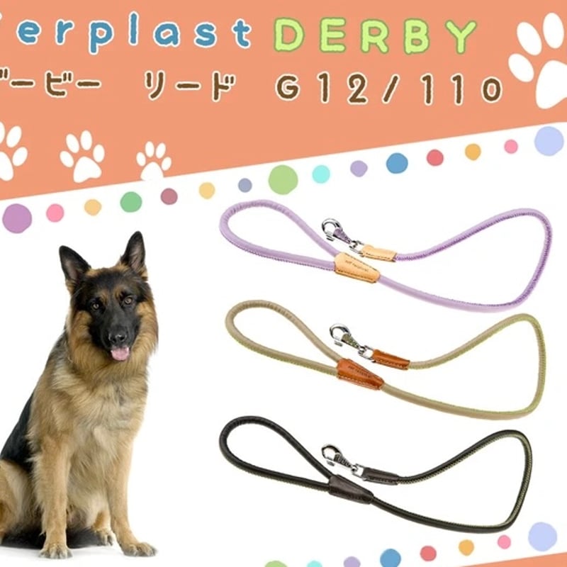 60kgまで/頑丈なナイロン製リード G12/110 ダービー DERBY のコピー |