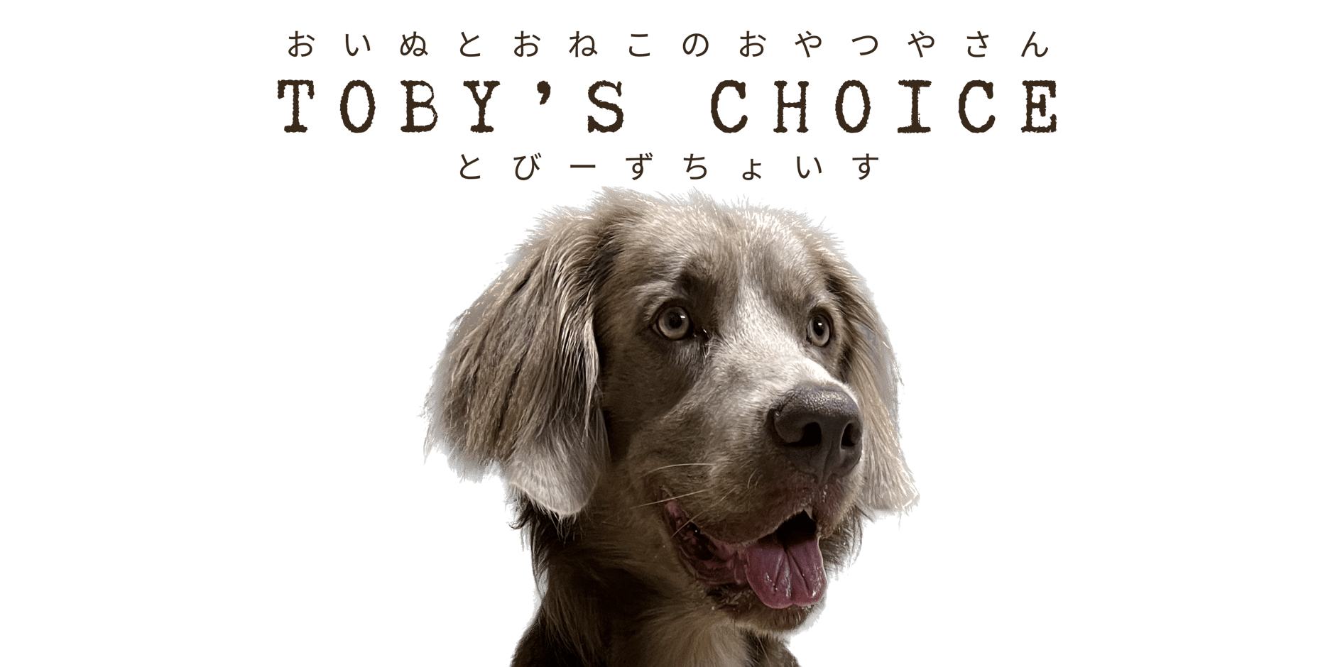 TOBY’S CHOICE