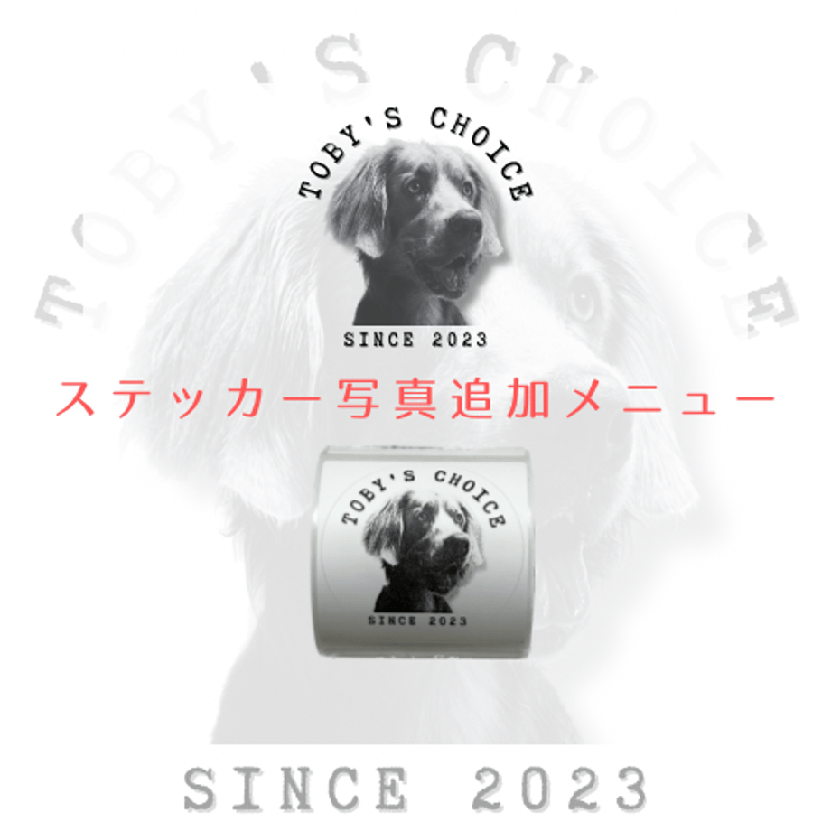 6507a2687cf6bd0032ec5088