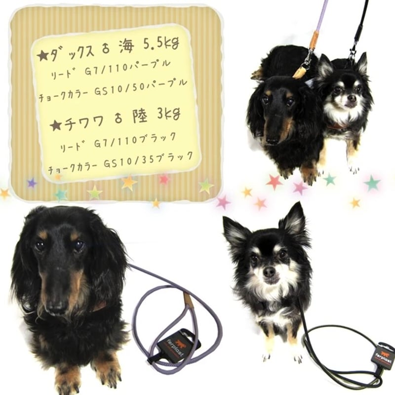 60kgまで/頑丈なナイロン製リード G12/110 ダービー DERBY のコピー |