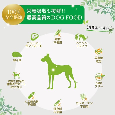 NUTRIPE/サーモン＆グリーントライプ　（ウェット）185g