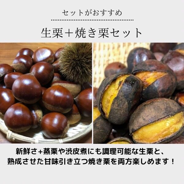 生栗1キロ(3L〜4L)+焼き栗2キロ (大サイズ) | 笠間の栗処-住吉農園