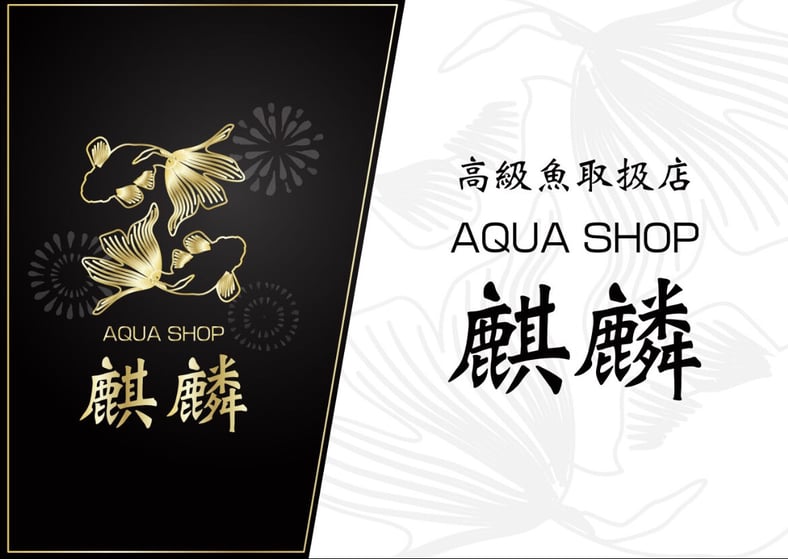 AQUA SHOP 麒麟