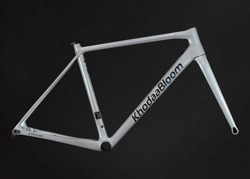 STRAUSS PRO RACE2 フレームセット ストラウスプロ レース2 | 悠々