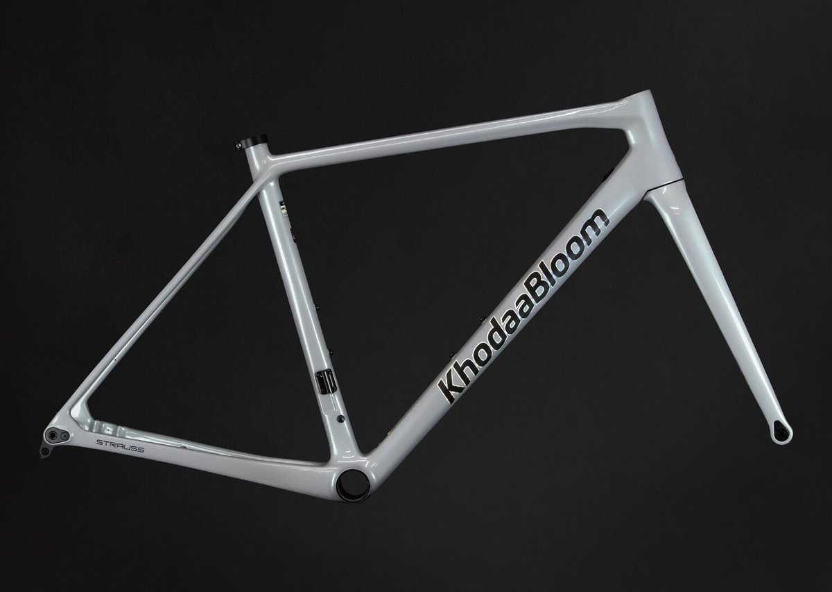 STRAUSS PRO RACE2 フレームセット ストラウスプロ レース2 | 悠々