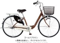 店舗受け取り専用 カジュリーフォールディング オートライト BAA-O 20