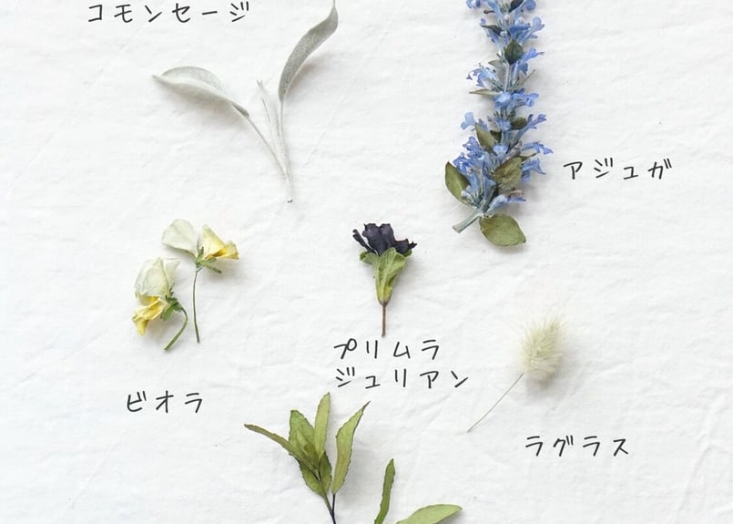 04 ドライフラワー | 小花, パープル,ラグラス ♩ | lomu
