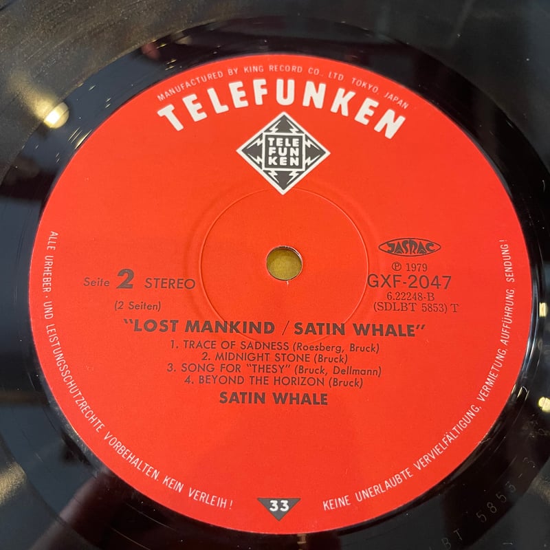 LP] SATIN WHALE / LOST MANKIND | RECORD HOUSE