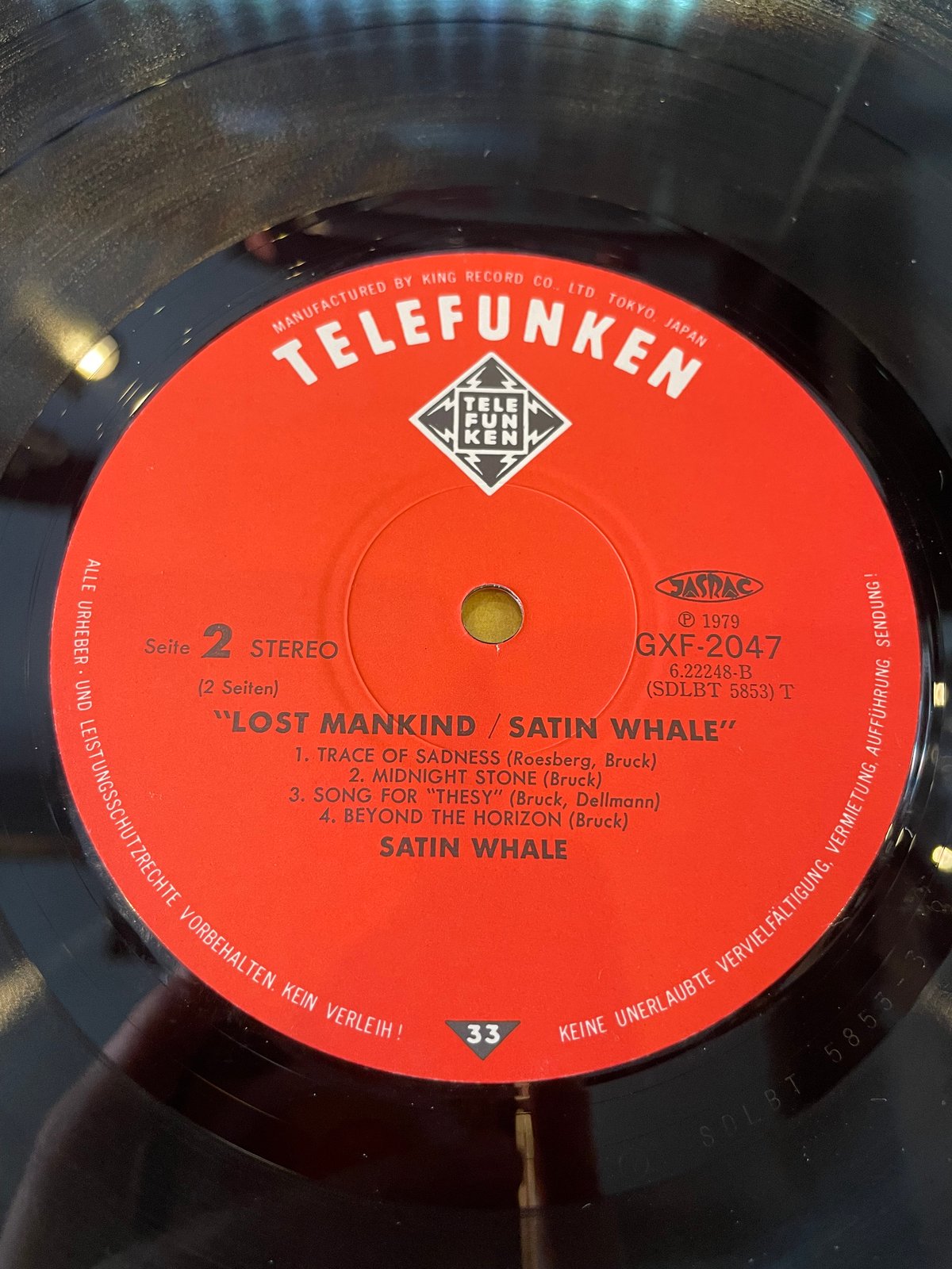 LP] SATIN WHALE / LOST MANKIND | RECORD HOUSE