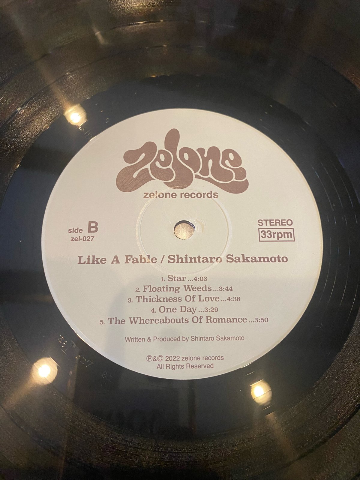 坂本慎太郎 / Like A Fable | RECORD HOUSE WOODSTOCK