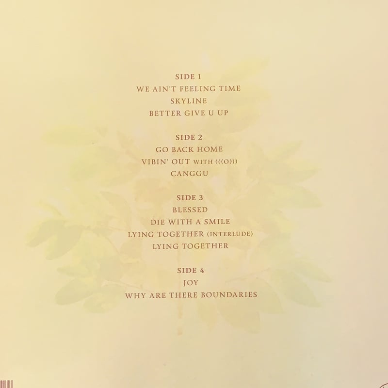 LP】FKJ / French Kiwi Juice | RECORD HOUSE WOOD