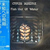 LP] ACQUA FRAGILE / SAME | RECORD HOUSE WOODSTOCK