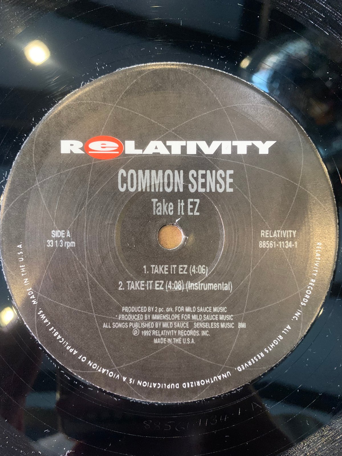 Common Sense - Take it EZ レコードオリジナル Common Sense - Take it EZ レコードオリジナル