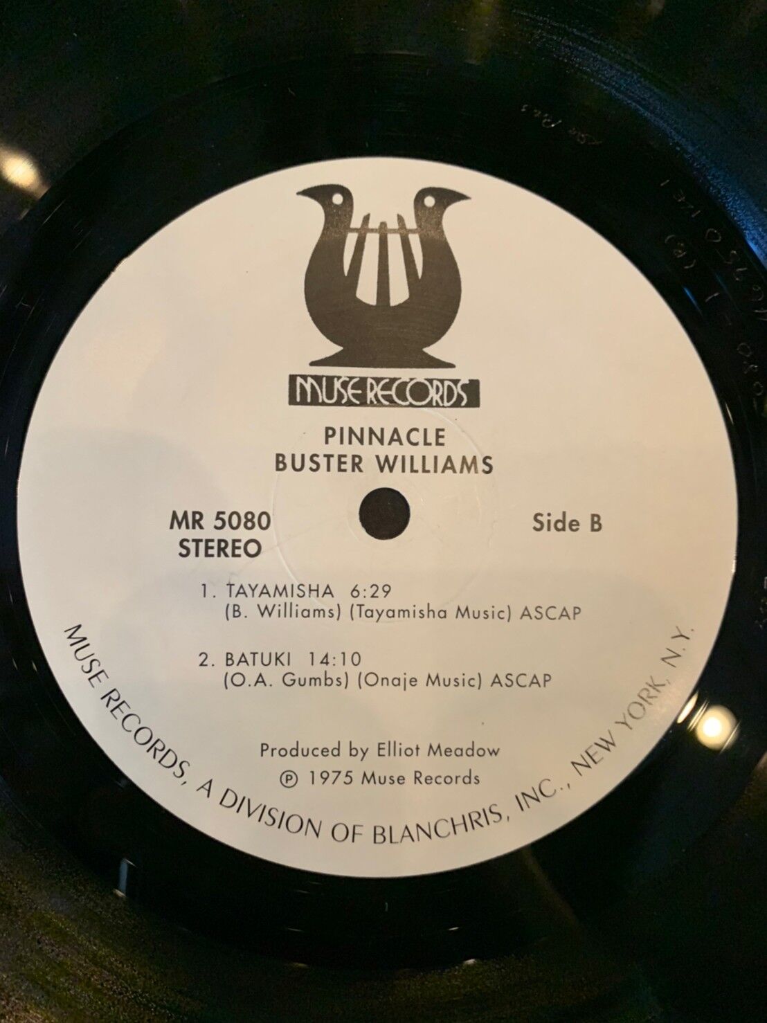 BUSTER WILLIAMS / PINNACLE | RECORD HOUSE WOODS