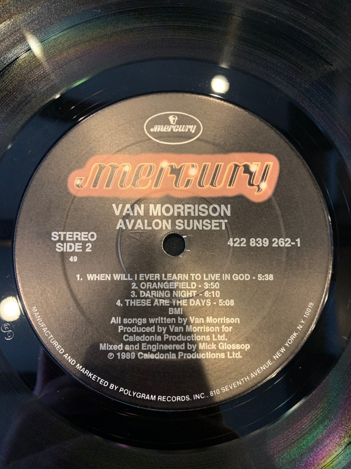 LP】Van Morrison / Avalon Sunset | RECORD HOUSE