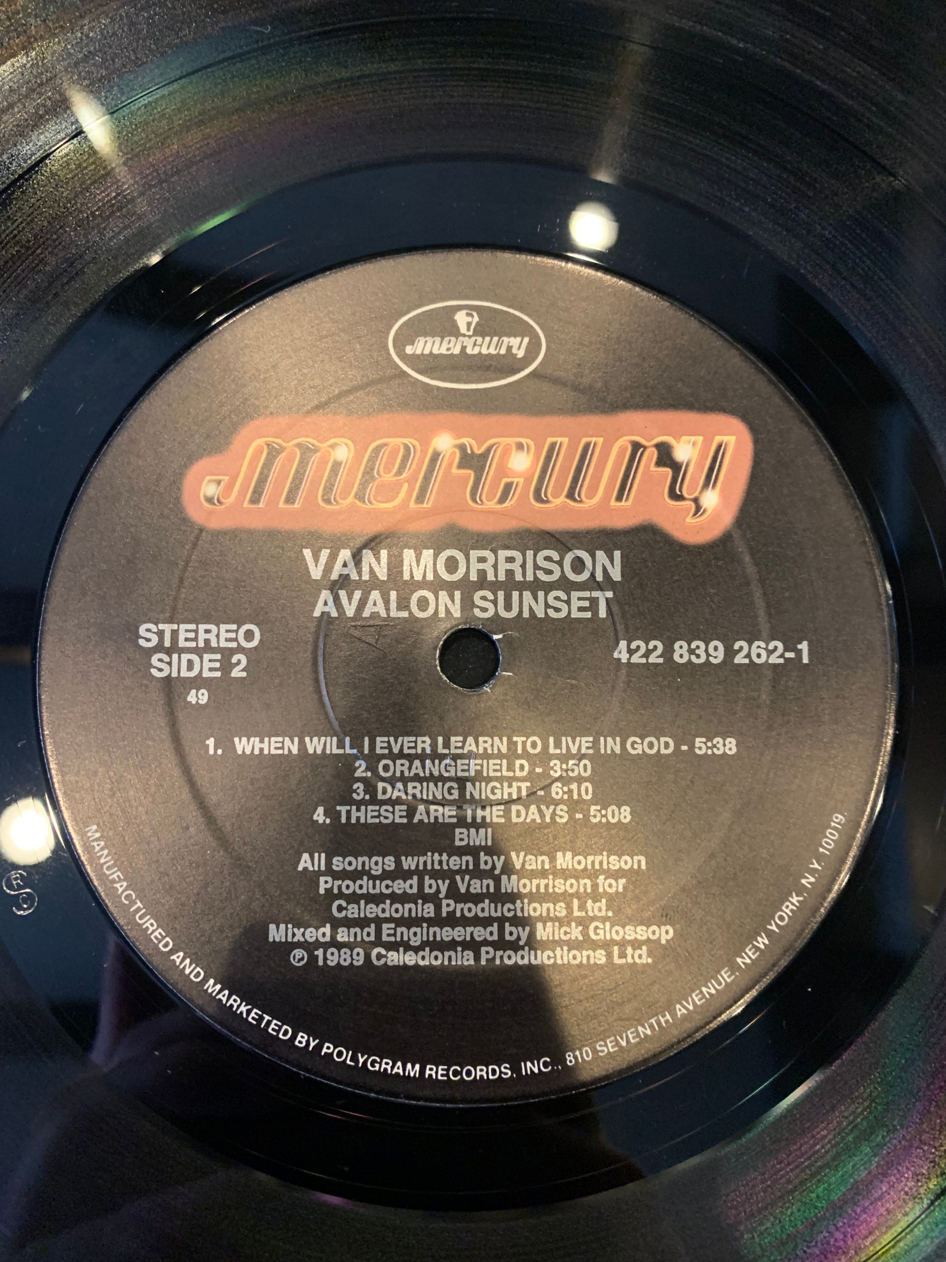 LP】Van Morrison / Avalon Sunset | RECORD HOUSE