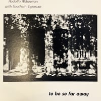 細野晴臣 / Coincidental Music | RECORD HOUSE WOODSTOCK