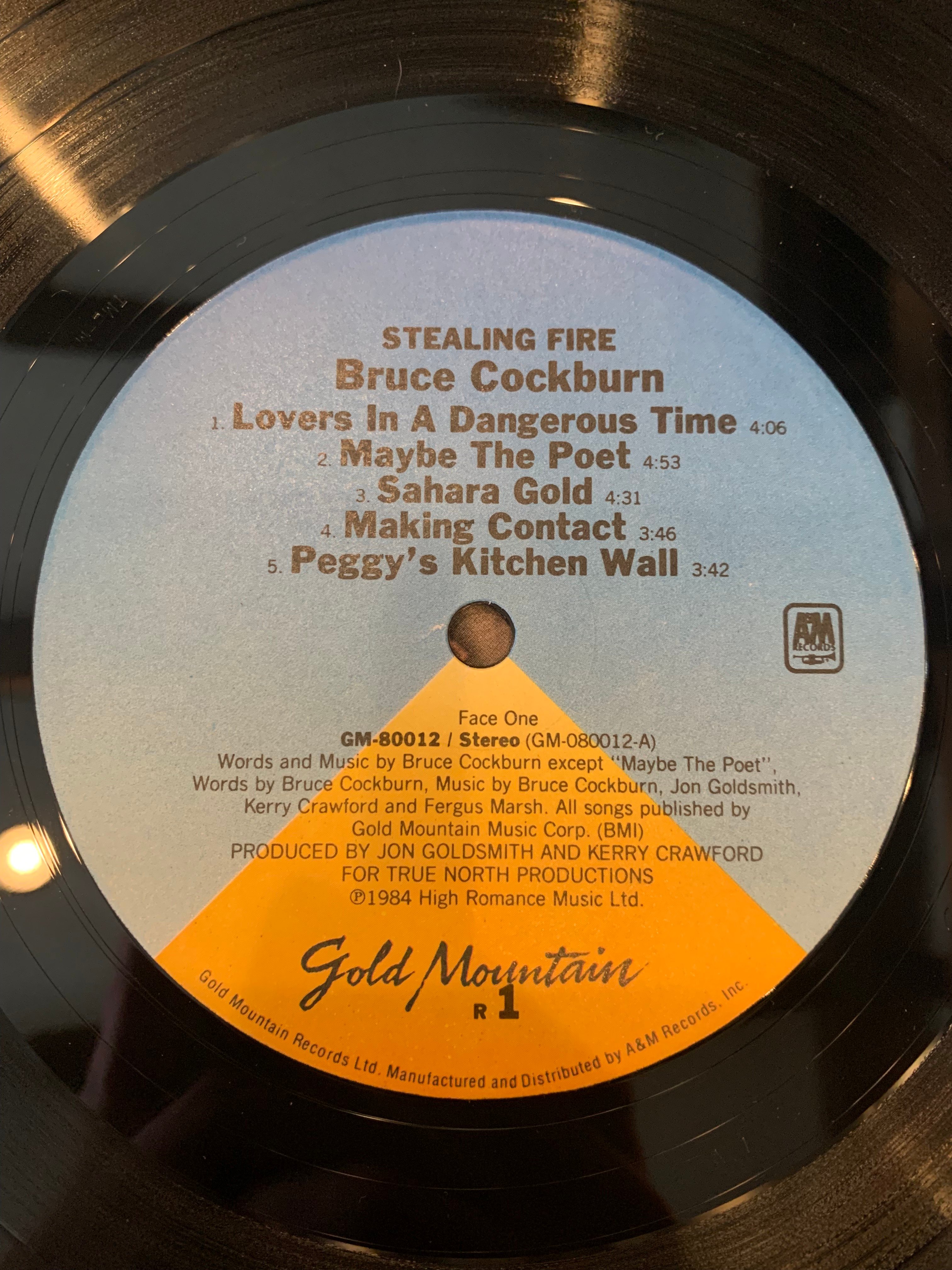 LP】BRUCE COCKBURN / STEALING FIRE | RECORD HOU