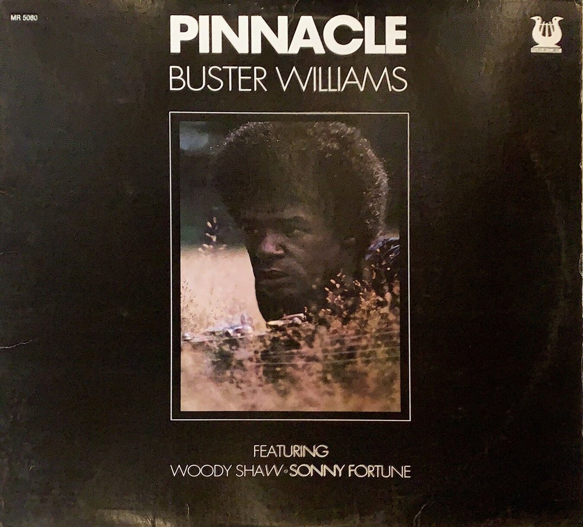 BUSTER WILLIAMS / PINNACLE | RECORD HOUSE WOODS