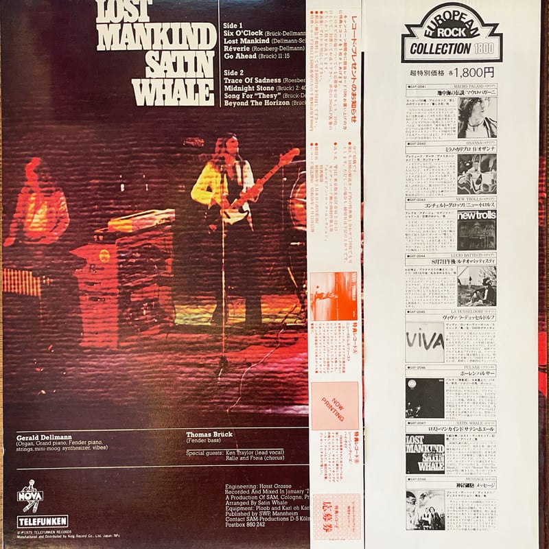 LP] SATIN WHALE / LOST MANKIND | RECORD HOUSE