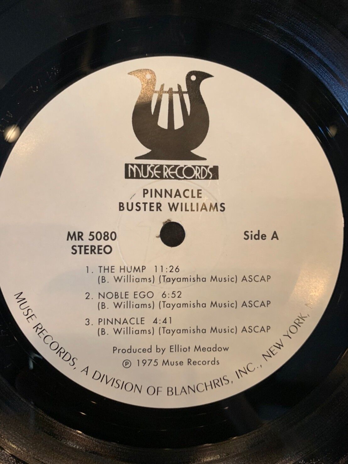 BUSTER WILLIAMS / PINNACLE | RECORD HOUSE WOODS