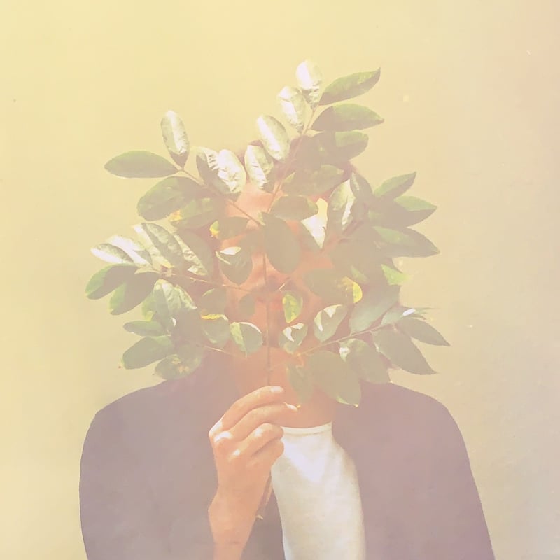 LP】FKJ / French Kiwi Juice | RECORD HOUSE WOOD