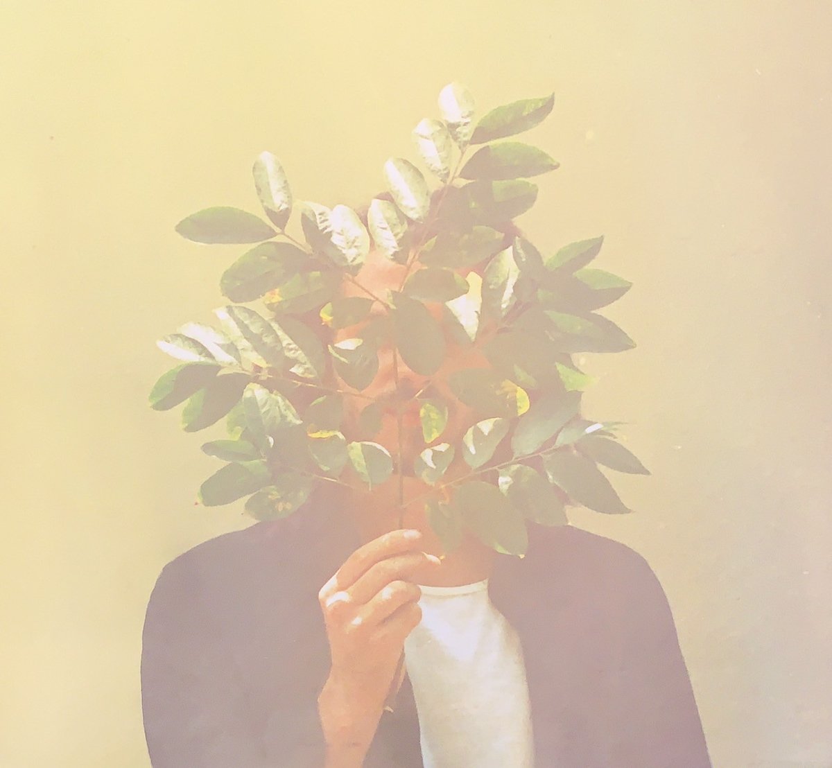 LP】FKJ / French Kiwi Juice | RECORD HOUSE WOOD