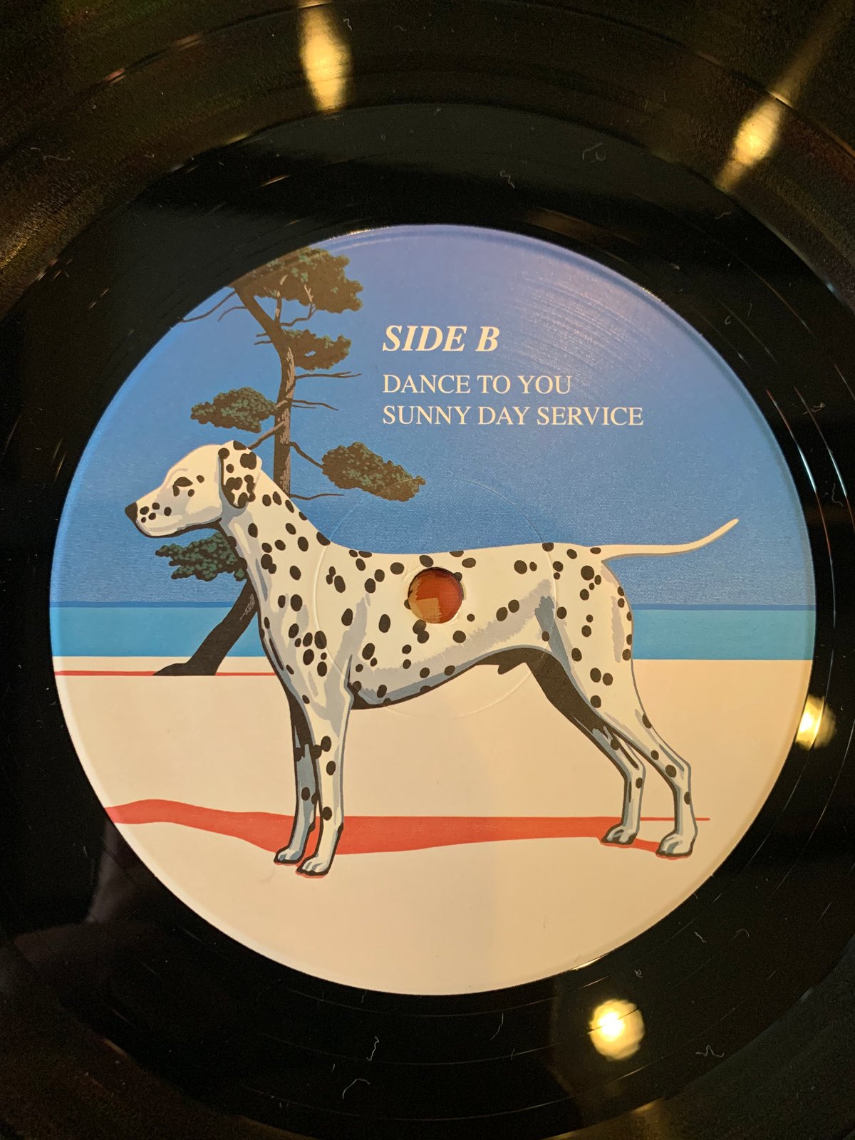 LP】Sunny Day Service / Dance To You | RECORD H