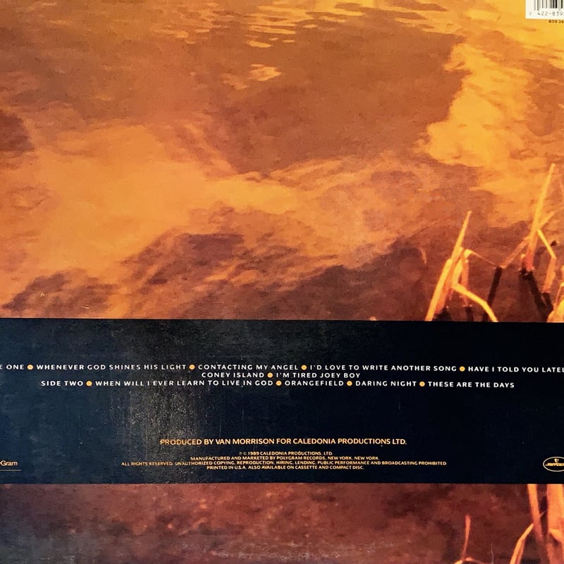 Van Morrison 「Avalon Sunset」 レコード Avalon Sunset : Van Morrison | HMV&BOOKS online - UICY-93439