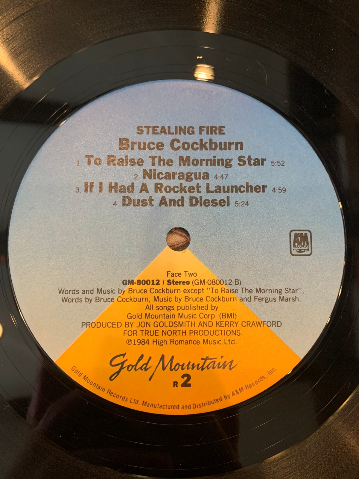 LP】BRUCE COCKBURN / STEALING FIRE | RECORD HOU