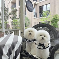 上品🖤エンボスフラワー♥ホワイト♡