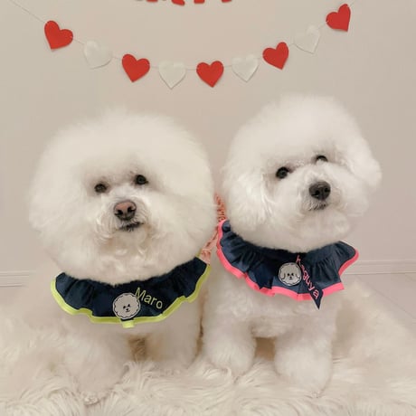 NeonPK🩷&YL💛デニム風フリル★丸チャーム付★