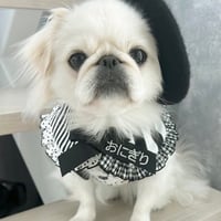 モノトーンスペシャル★チャームなし