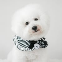 モノトーンスペシャル🖤ビションチャーム付♪