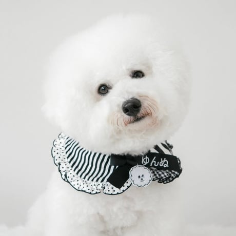 モノトーンスペシャル🖤ビションチャーム付♪