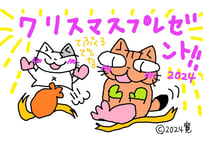 目が大きい猫の、クリスマスプレゼント２０２４