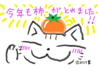 目が大きい猫の、今年も柿がとれました