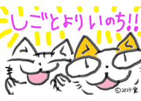 目が大きい猫の、しごとよりいのち