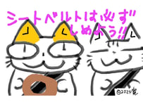 目が大きい猫の、シートベルトは必ずしめよう