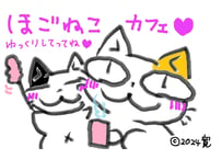 目が大きい猫の、保護猫カフェ