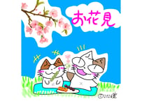 目が大きい猫の、お花見