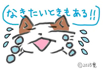 目が大きい猫の、なきたいときもある